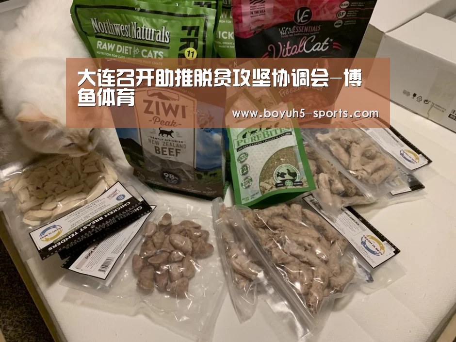 大连召开助推脱贫攻坚协调会-博鱼体育