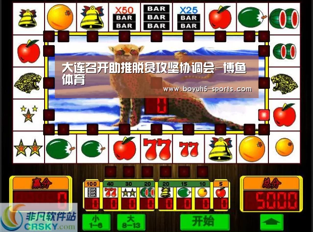  博鱼体育官网