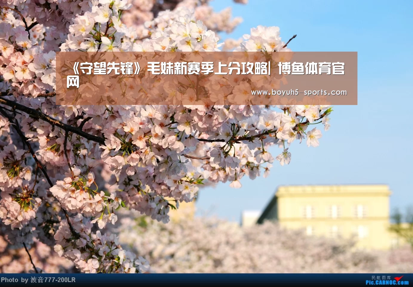 《守望先锋》毛妹新赛季上分攻略| 博鱼体育官网