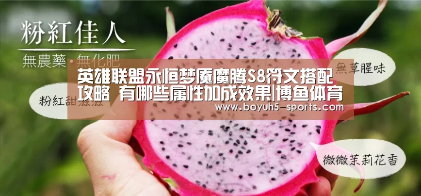  博鱼体育官网