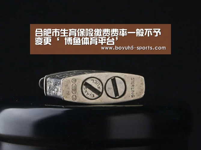 合肥市生育保险缴费费率一般不予变更‘ 博鱼体育平台’