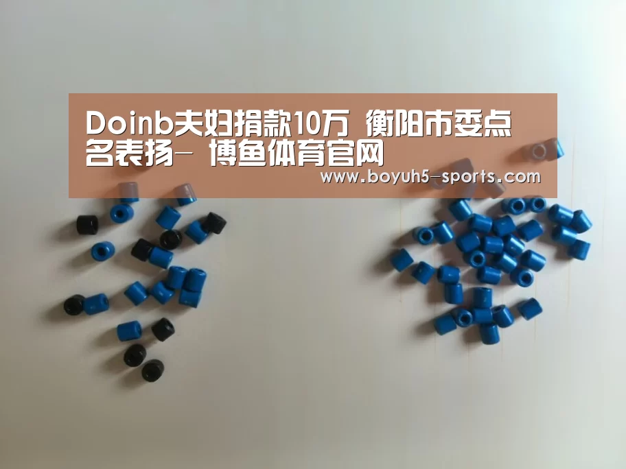 Doinb夫妇捐款10万 衡阳市委点名表扬- 博鱼体育官网