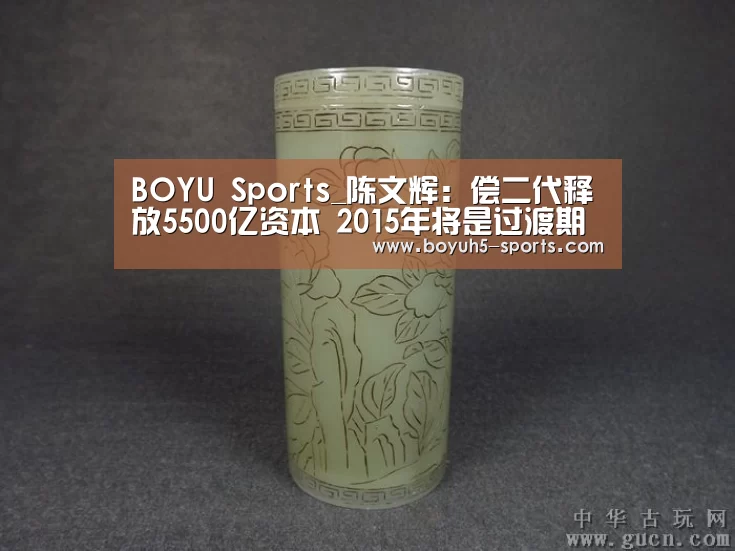  BOYU Sports