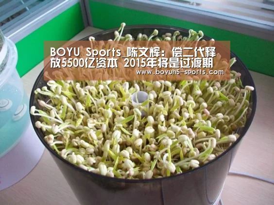  BOYU Sports_陈文辉：偿二代释放5500亿资本 2015年将是过渡期