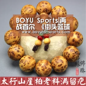  BOYU Sports