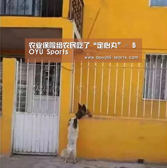  博鱼体育平台