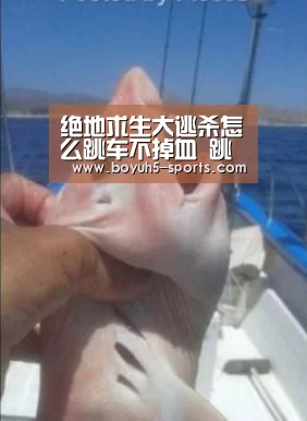 博鱼体育